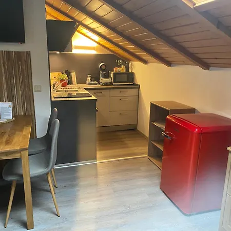 Fischer In Apartment